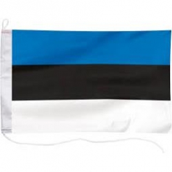 Bandera 20x30 Estonia