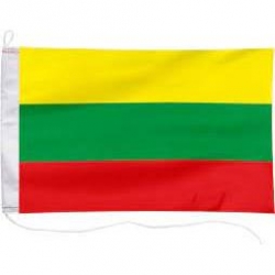 Bandera 20x30 Litwa